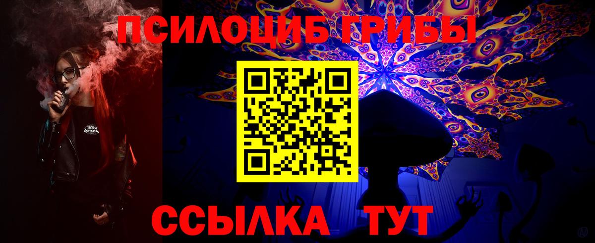 Псилоцибиновые грибы мицелий Белебей
