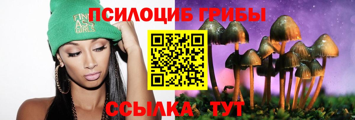 Белебей  Псилоцибиновые грибы Psilocybine cubensis  Вход с VPN 